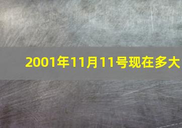 2001年11月11号现在多大