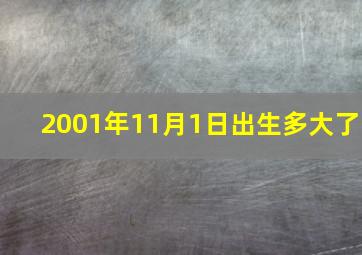 2001年11月1日出生多大了