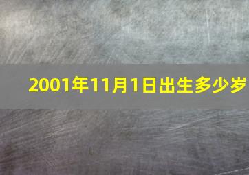 2001年11月1日出生多少岁