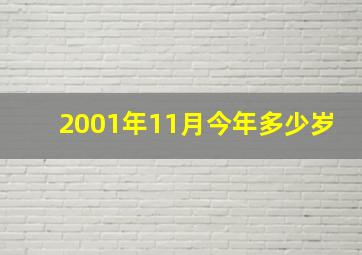 2001年11月今年多少岁