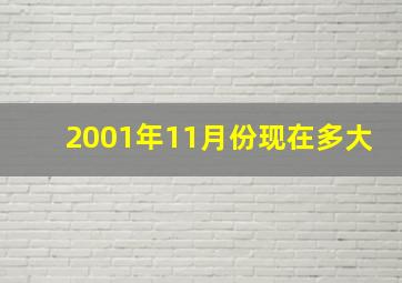 2001年11月份现在多大