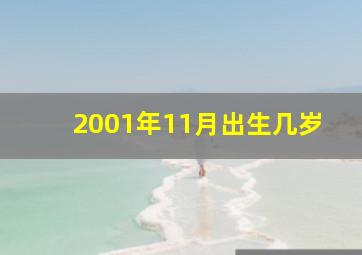 2001年11月出生几岁