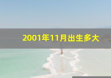 2001年11月出生多大