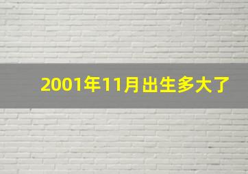 2001年11月出生多大了