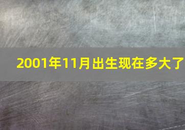 2001年11月出生现在多大了