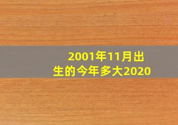 2001年11月出生的今年多大2020