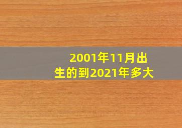 2001年11月出生的到2021年多大