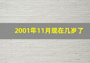 2001年11月现在几岁了