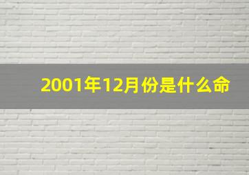 2001年12月份是什么命