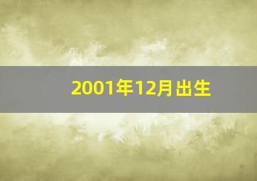 2001年12月出生