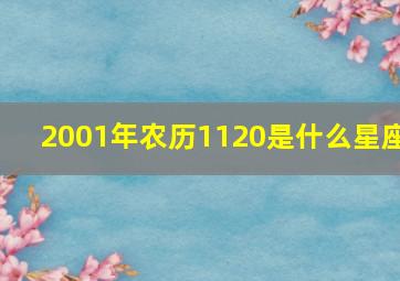 2001年农历1120是什么星座