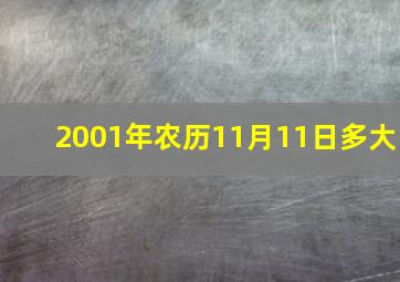 2001年农历11月11日多大