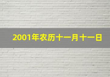 2001年农历十一月十一日