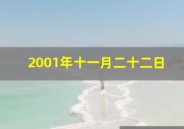 2001年十一月二十二日