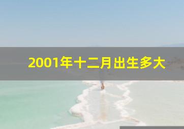 2001年十二月出生多大