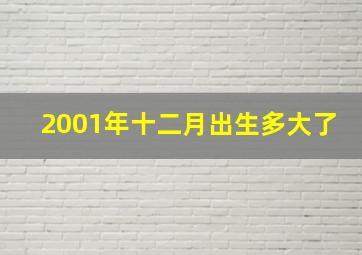 2001年十二月出生多大了