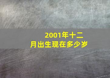 2001年十二月出生现在多少岁