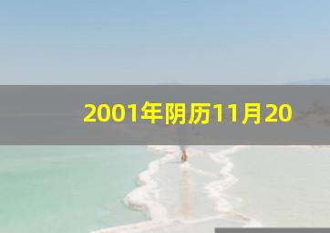 2001年阴历11月20