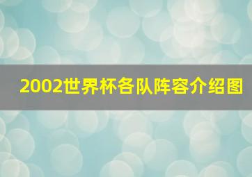 2002世界杯各队阵容介绍图