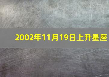 2002年11月19日上升星座