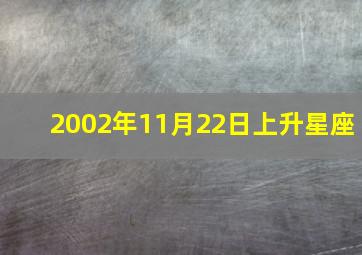 2002年11月22日上升星座