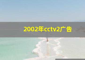 2002年cctv2广告