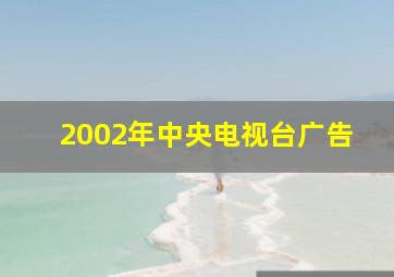 2002年中央电视台广告