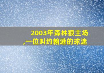 2003年森林狼主场,一位叫约翰逊的球迷