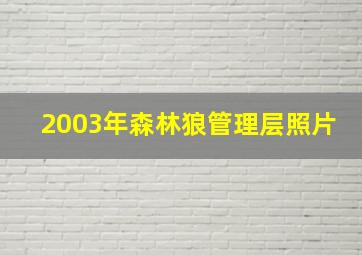 2003年森林狼管理层照片