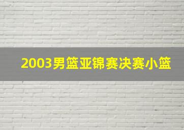 2003男篮亚锦赛决赛小篮