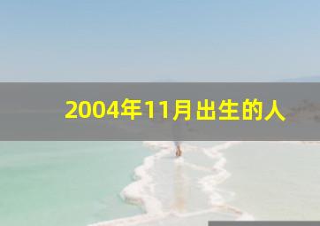 2004年11月出生的人