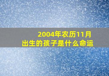 2004年农历11月出生的孩子是什么命运