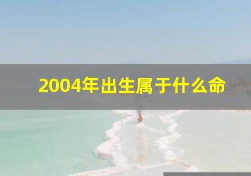 2004年出生属于什么命