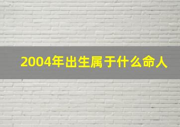 2004年出生属于什么命人