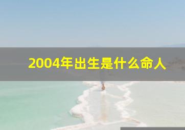 2004年出生是什么命人