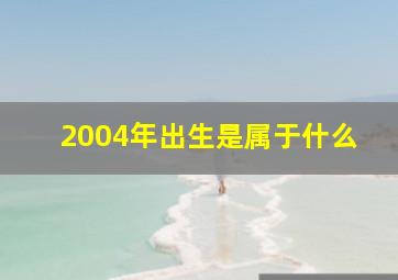 2004年出生是属于什么