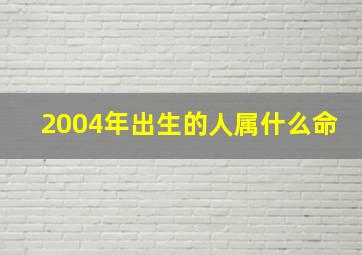 2004年出生的人属什么命