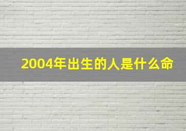 2004年出生的人是什么命