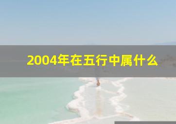 2004年在五行中属什么