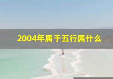 2004年属于五行属什么