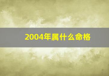 2004年属什么命格