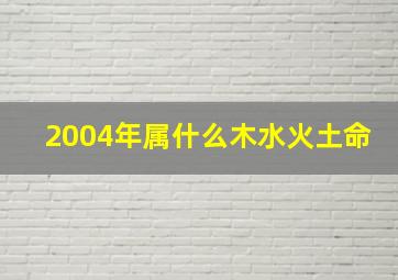 2004年属什么木水火土命