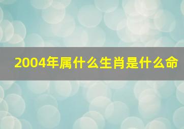 2004年属什么生肖是什么命