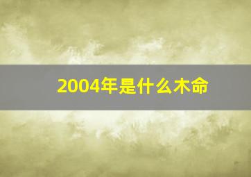 2004年是什么木命