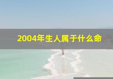 2004年生人属于什么命