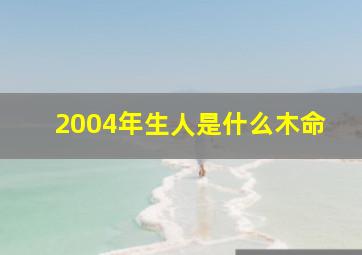 2004年生人是什么木命