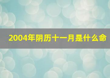 2004年阴历十一月是什么命