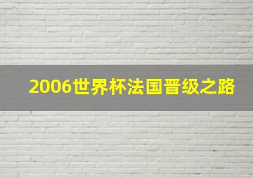 2006世界杯法国晋级之路