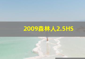 2009森林人2.5HS