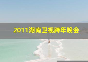 2011湖南卫视跨年晚会